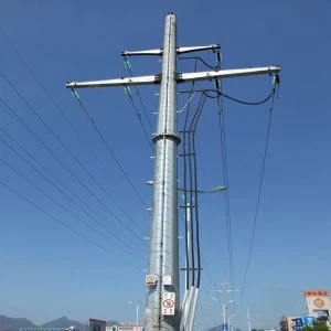 Jedinični strujni polovi