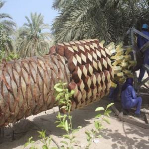 Trunk za Diguised Cell Towers