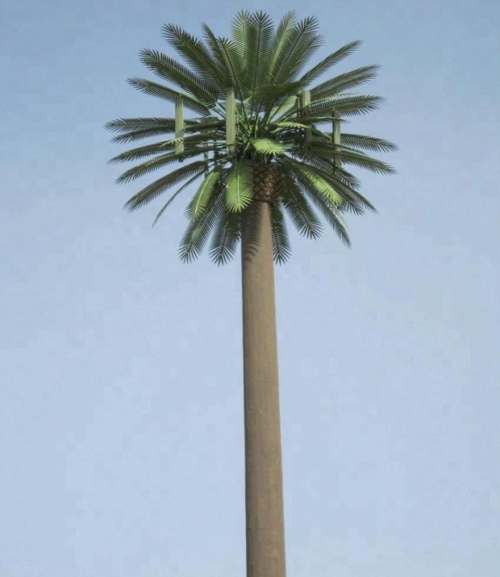 Bionic Palm Cell Tower